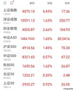 创业板指收涨2.66% CPO概念掀涨停潮